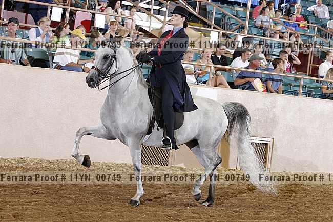 Proof 11yn_00749