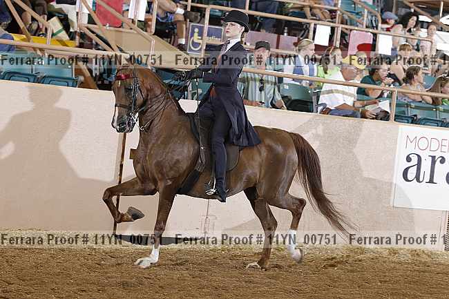 Proof 11yn_00751
