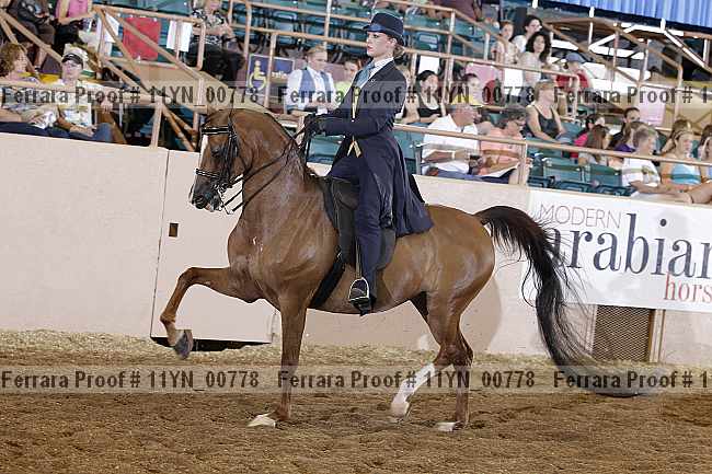Proof 11yn_00778