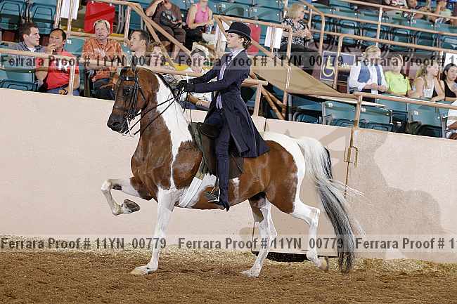 Proof 11yn_00779
