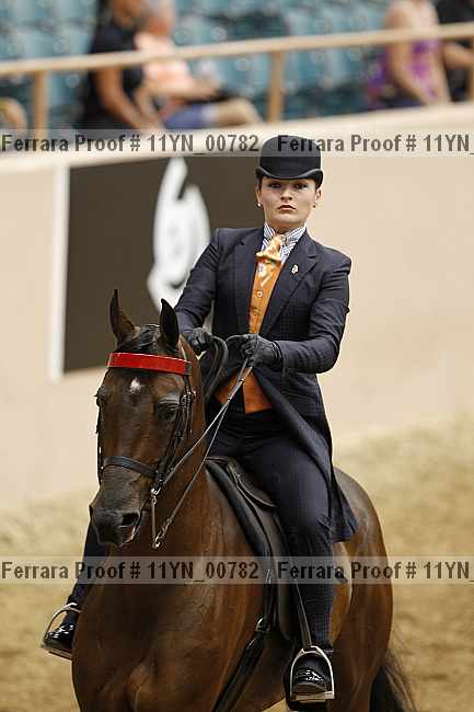 Proof 11yn_00782
