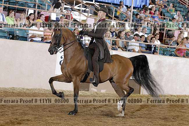 Proof 11yn_00800