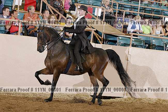 Proof 11yn_00801