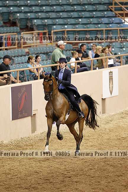 Proof 11yn_00805