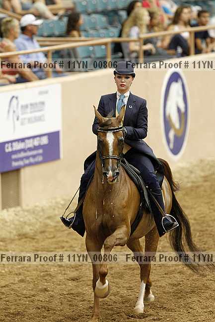 Proof 11yn_00806
