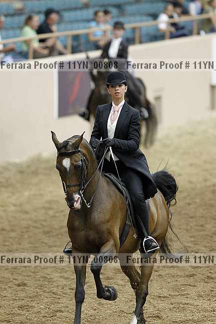 Proof 11yn_00808