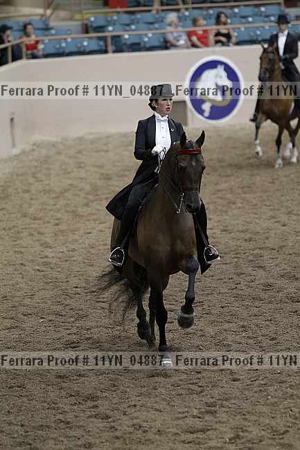 Proof 11yn_04887
