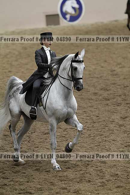 Proof 11yn_04890