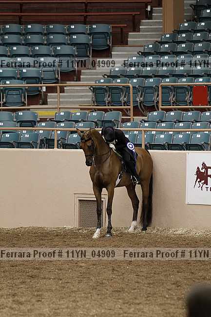 Proof 11yn_04909
