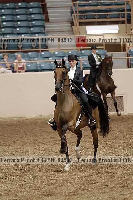 Proof 11yn_04913
