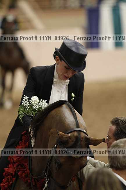 Proof 11yn_04926