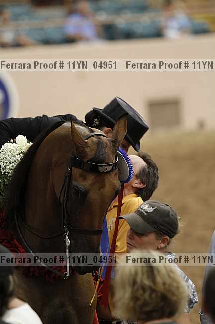 Proof 11yn_04951
