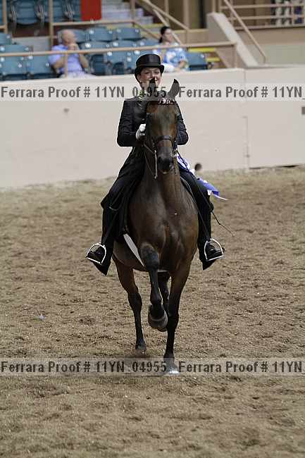 Proof 11yn_04955