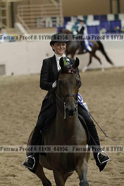 Proof 11yn_04956