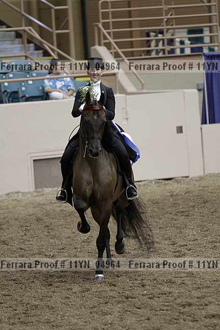 Proof 11yn_04964