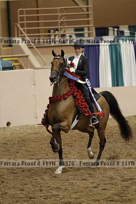 Proof 11yn_04976