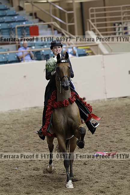 Proof 11yn_04977