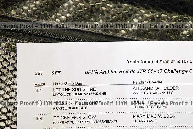 Proof 11yn_05011