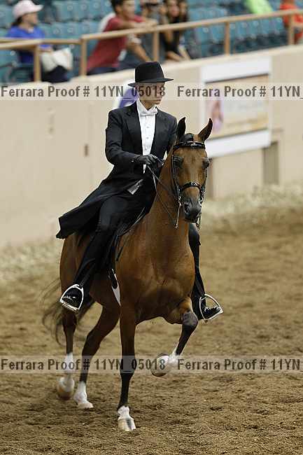 Proof 11yn_05018