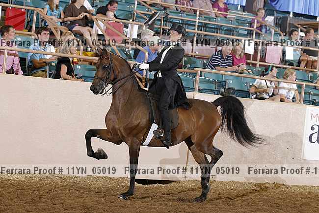 Proof 11yn_05019