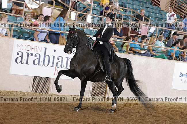 Proof 11yn_05021