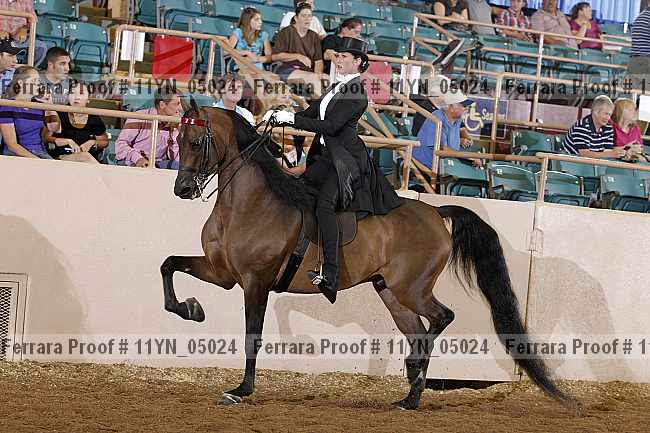 Proof 11yn_05024