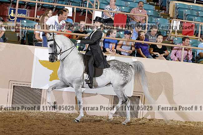 Proof 11yn_05029
