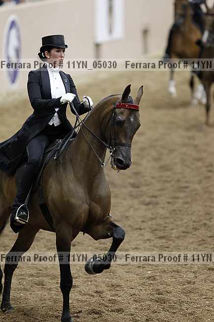 Proof 11yn_05030