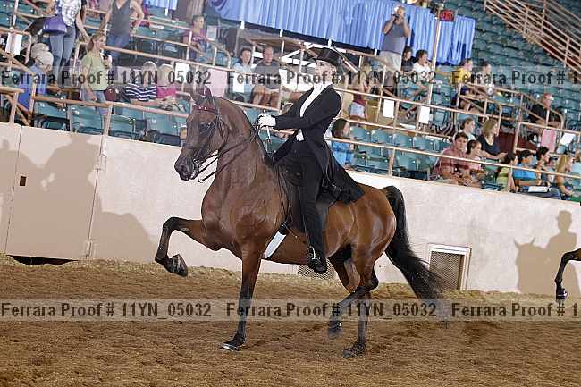 Proof 11yn_05032