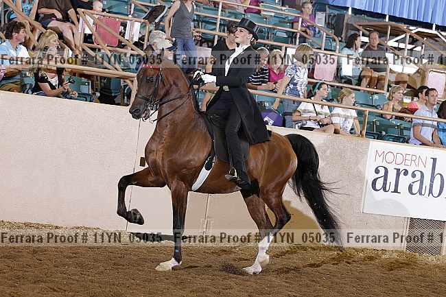 Proof 11yn_05035