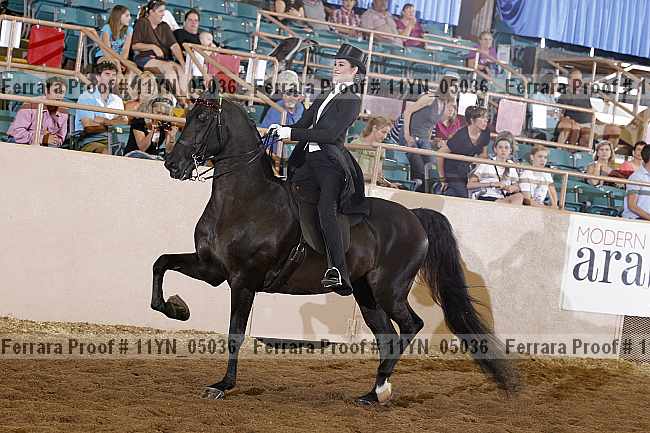 Proof 11yn_05036