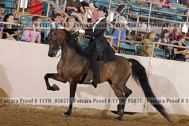 Proof 11yn_05037