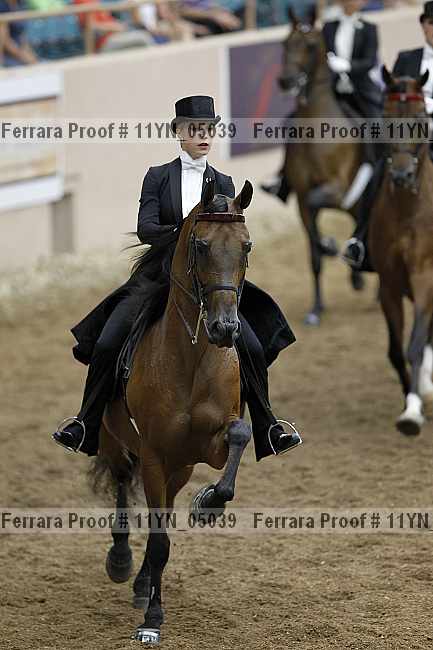 Proof 11yn_05039