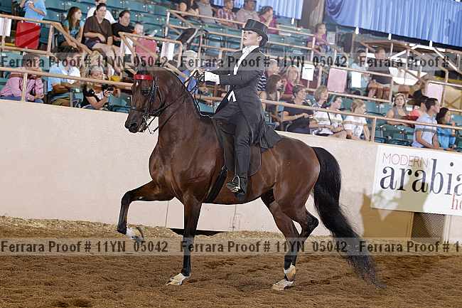 Proof 11yn_05042