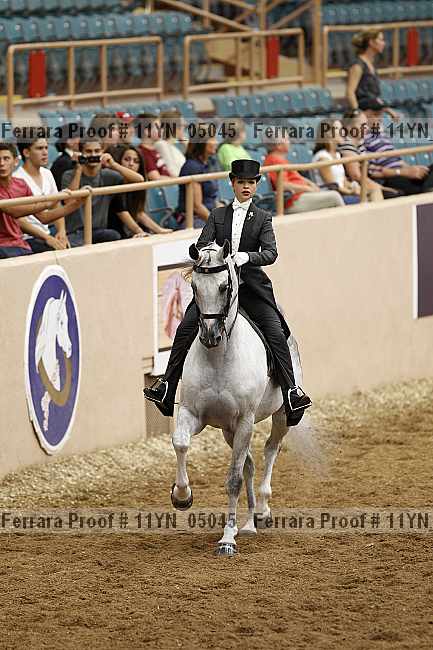 Proof 11yn_05045