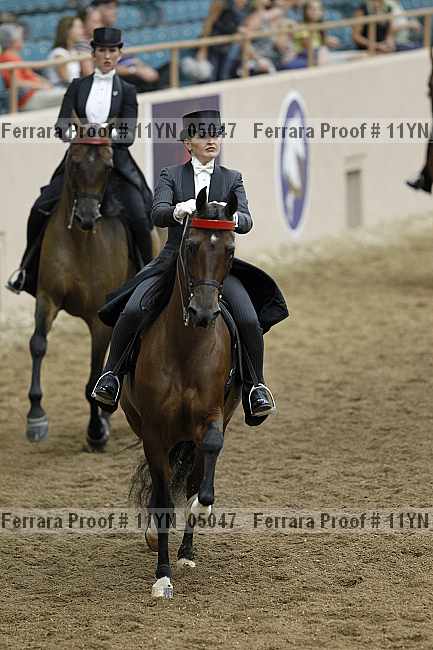 Proof 11yn_05047