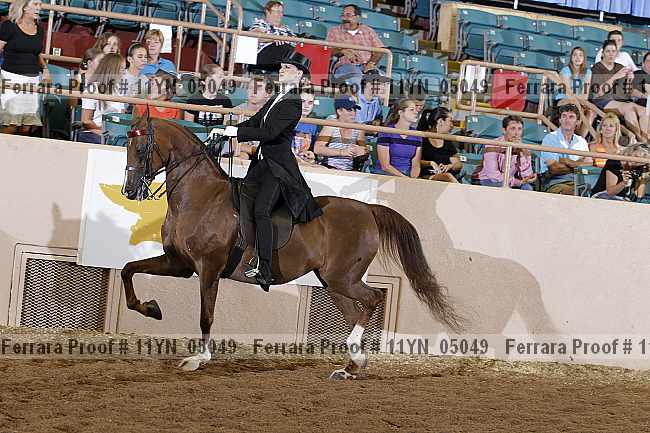 Proof 11yn_05049