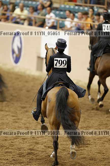 Proof 11yn_05051