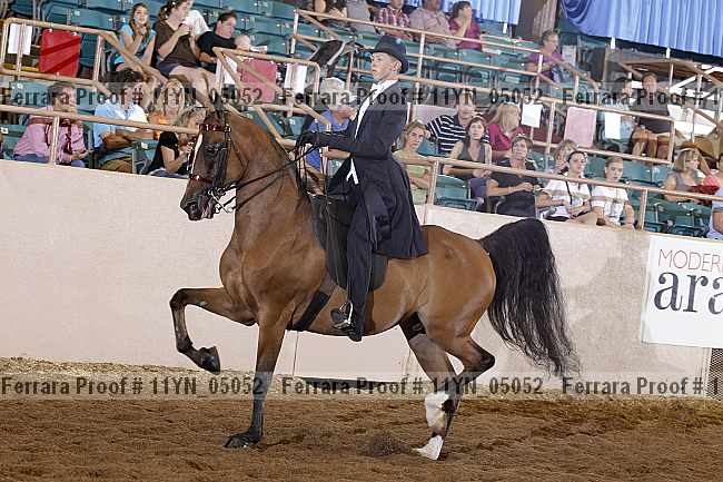Proof 11yn_05052