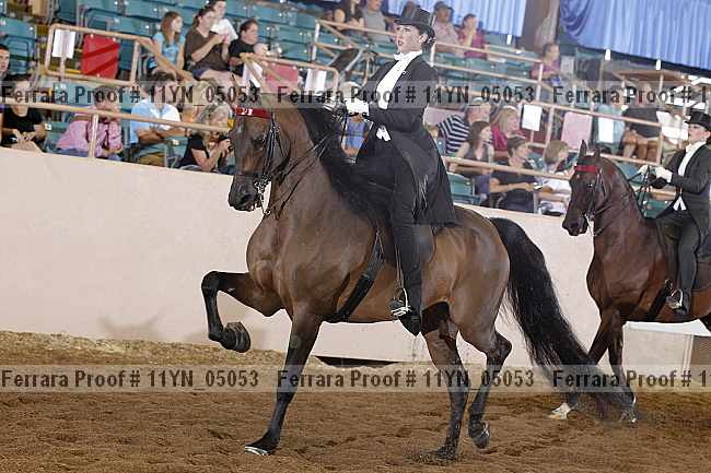 Proof 11yn_05053
