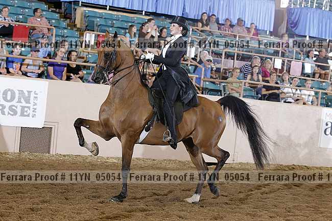 Proof 11yn_05054