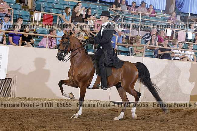 Proof 11yn_05055