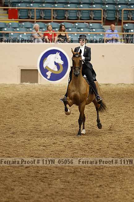 Proof 11yn_05056