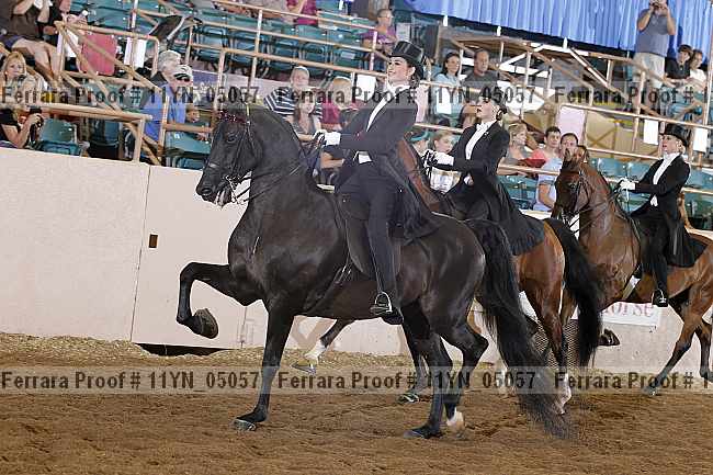 Proof 11yn_05057