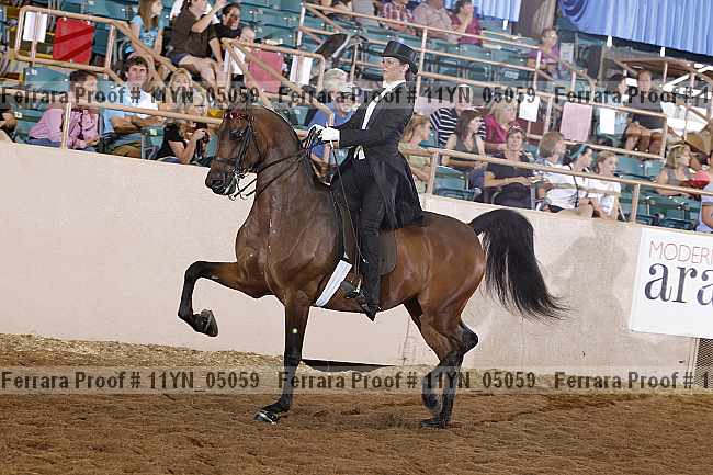 Proof 11yn_05059