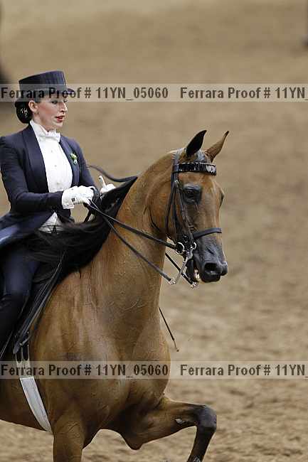 Proof 11yn_05060
