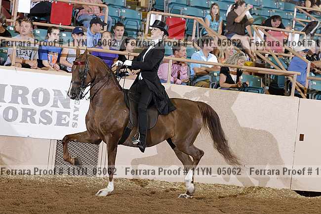Proof 11yn_05062