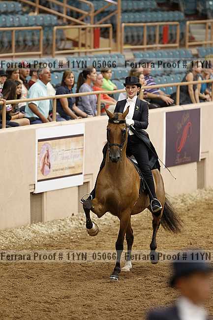 Proof 11yn_05066