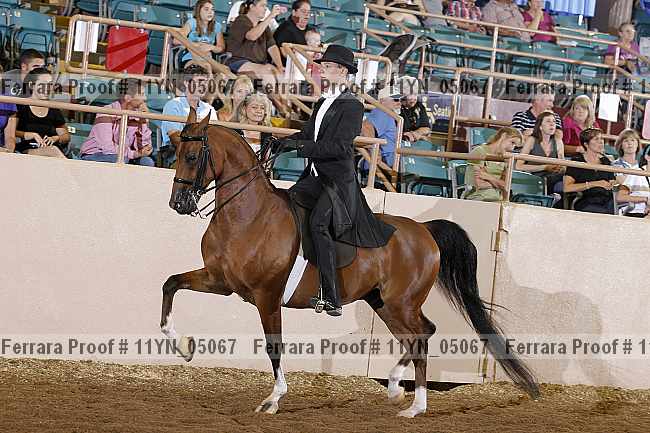 Proof 11yn_05067