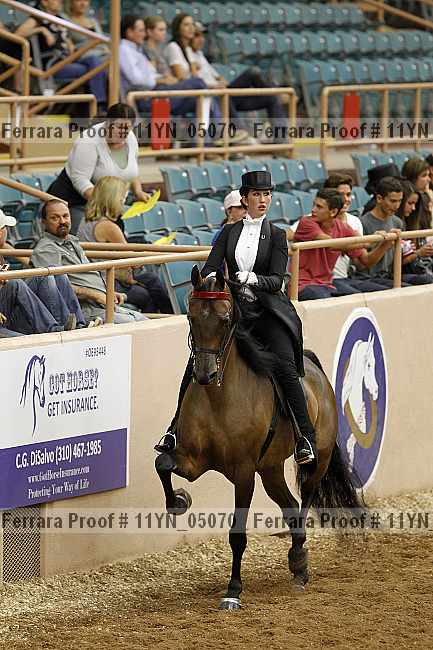 Proof 11yn_05070